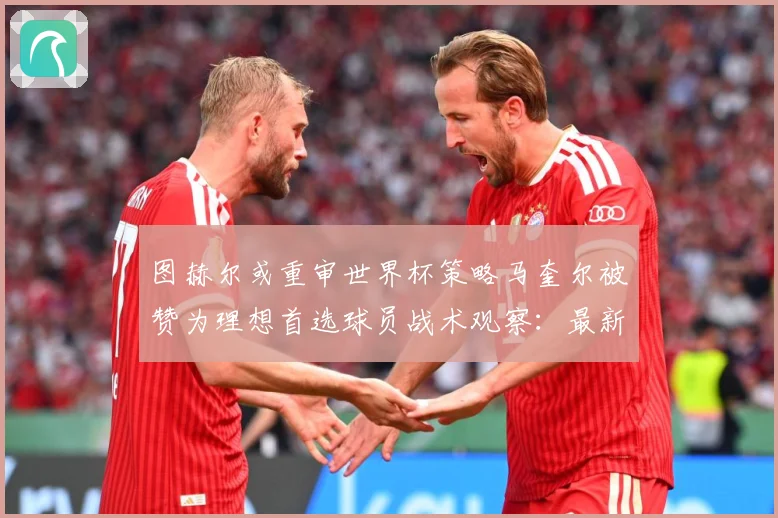 图赫尔或重审世界杯策略马奎尔被赞为理想首选球员战术观察：最新赛事动态与深度分析