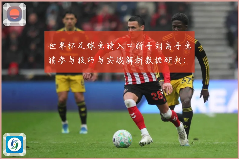 世界杯足球竞猜入口新手到高手竞猜参与技巧与实战解析数据研判：最新赛事动态与深度分析